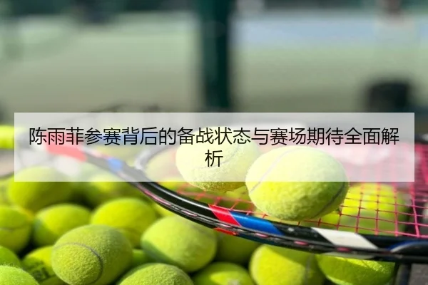 陈雨菲参赛背后的备战状态与赛场期待全面解析