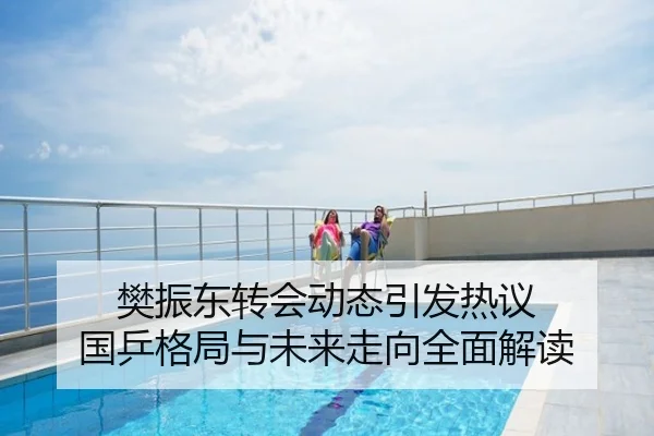 樊振东转会动态引发热议 国乒格局与未来走向全面解读